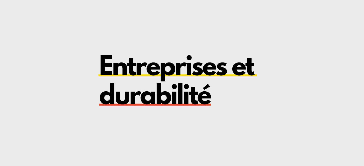Entreprises et durabilité