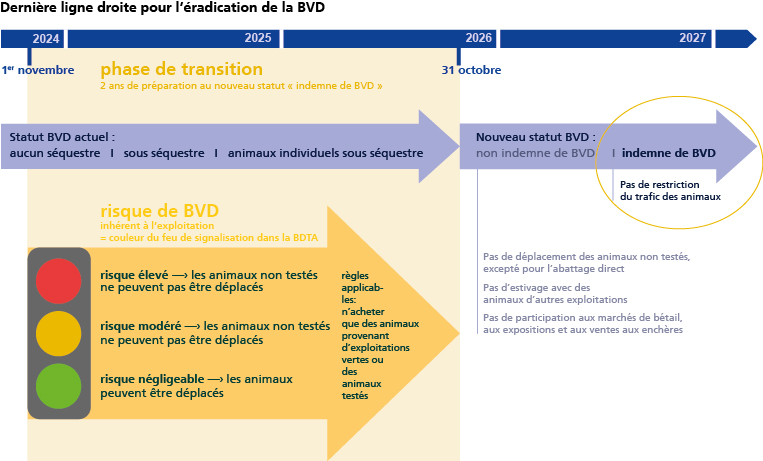 Dernière ligne droite pour l'éradication de la BVD