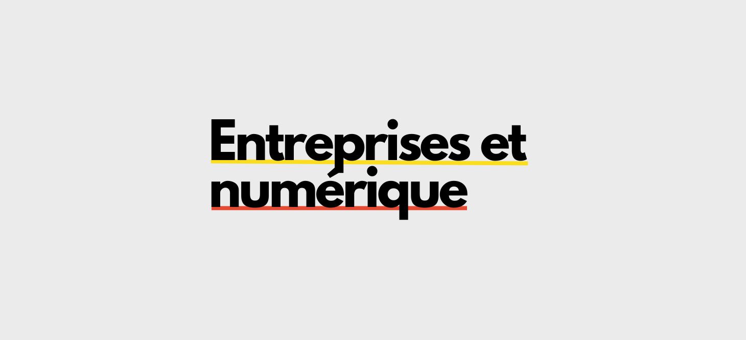 Entreprises et numérique