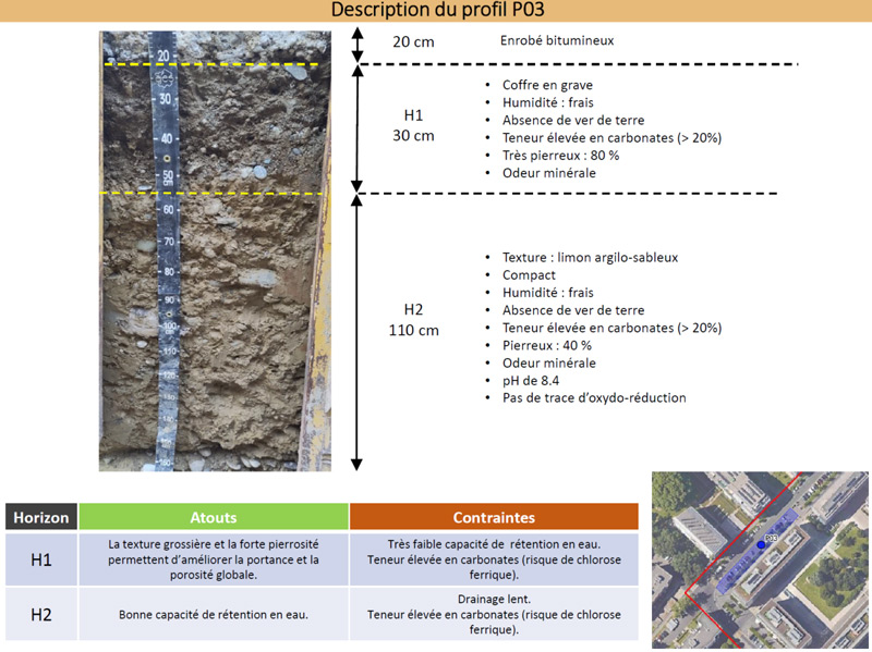 Description des propriétés agro-pédologiques d'un profil de sol sur le quartier du Pommier (image: Terasol SA)