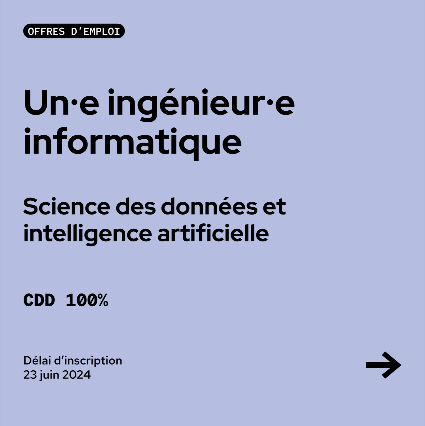 ingénieur-e informatique