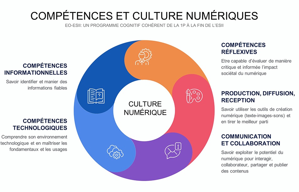 Roue compétences référentiel