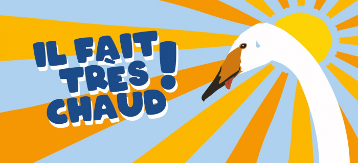 Il fait très chaud!
